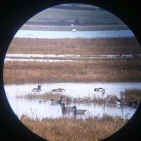 Spirales en majesté et problème sur Jupiter