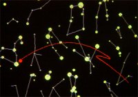 Trabi, mon logiciel de calcul des orbites planétaires