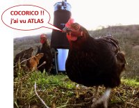 COCORICO ! j'ai vu la comète ATLAS !!